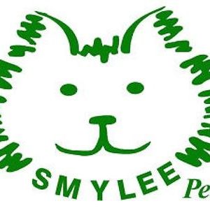 Skin And Coat Care For Your Cat